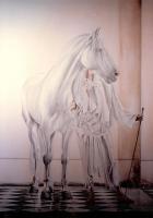 CHEVAL N°2